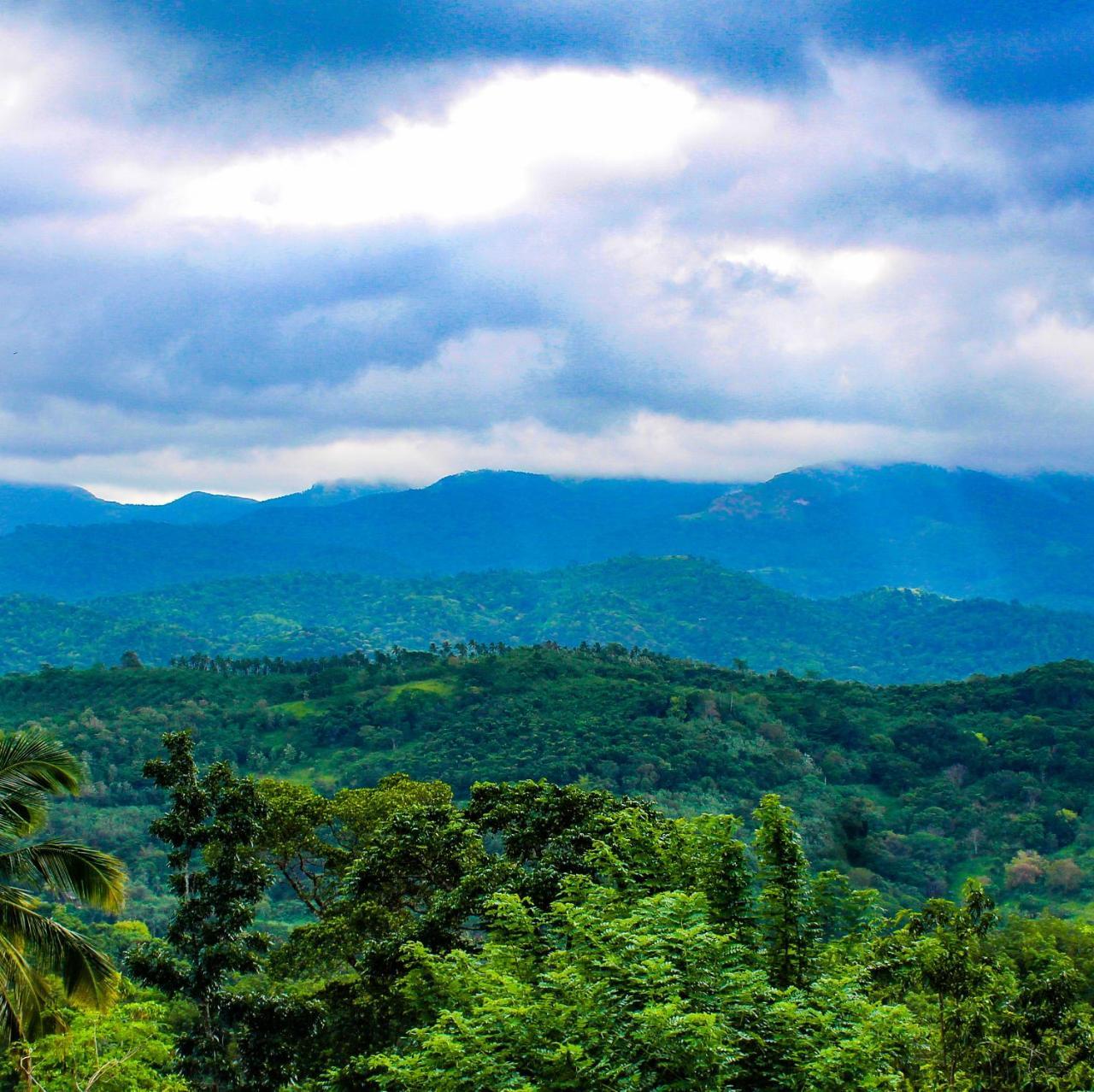 Paradise Forest Garden Matale Exterior foto